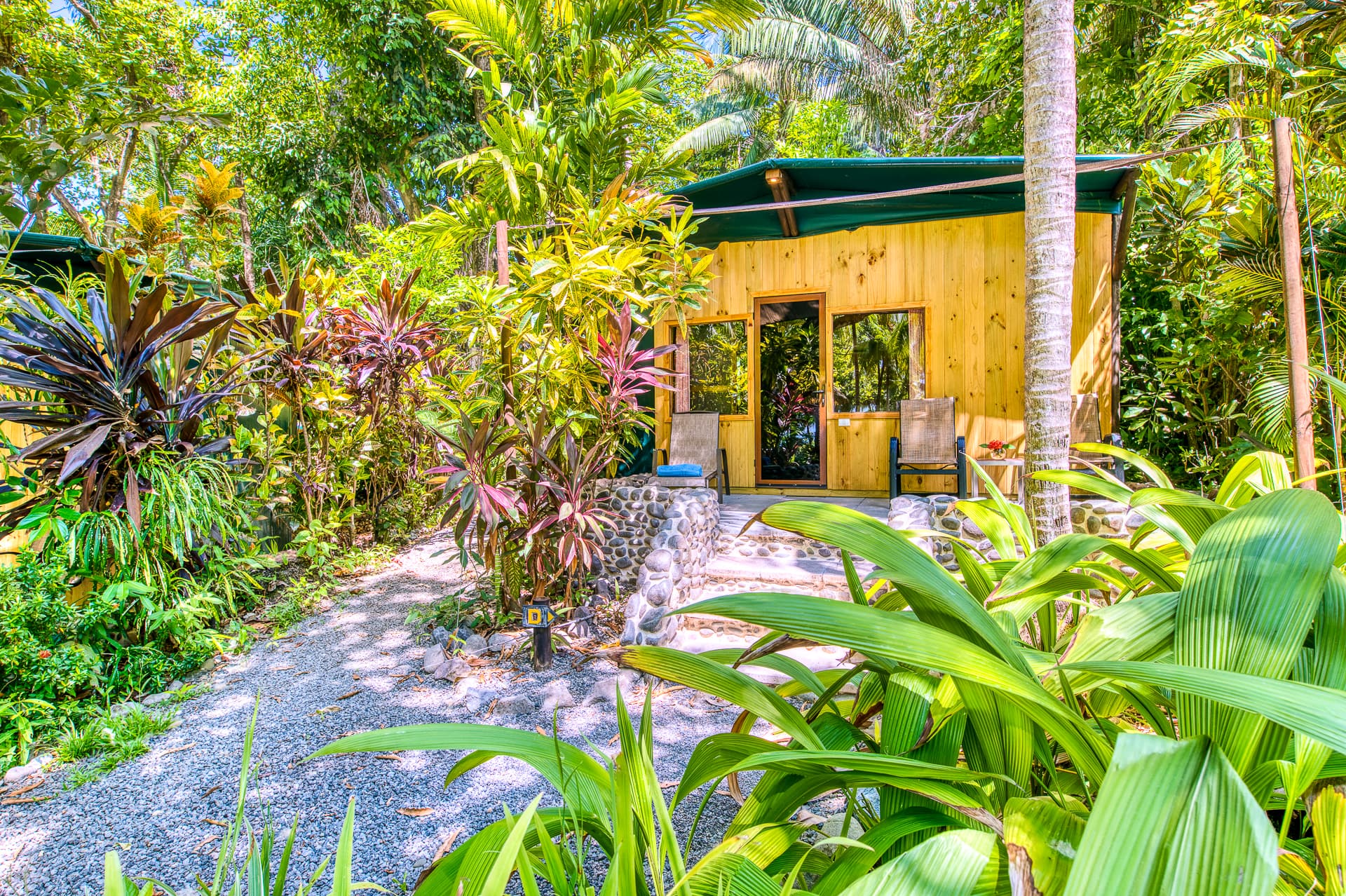 Cozy wood-paneled Cabina in the jungle surrounded by tropical foliage
