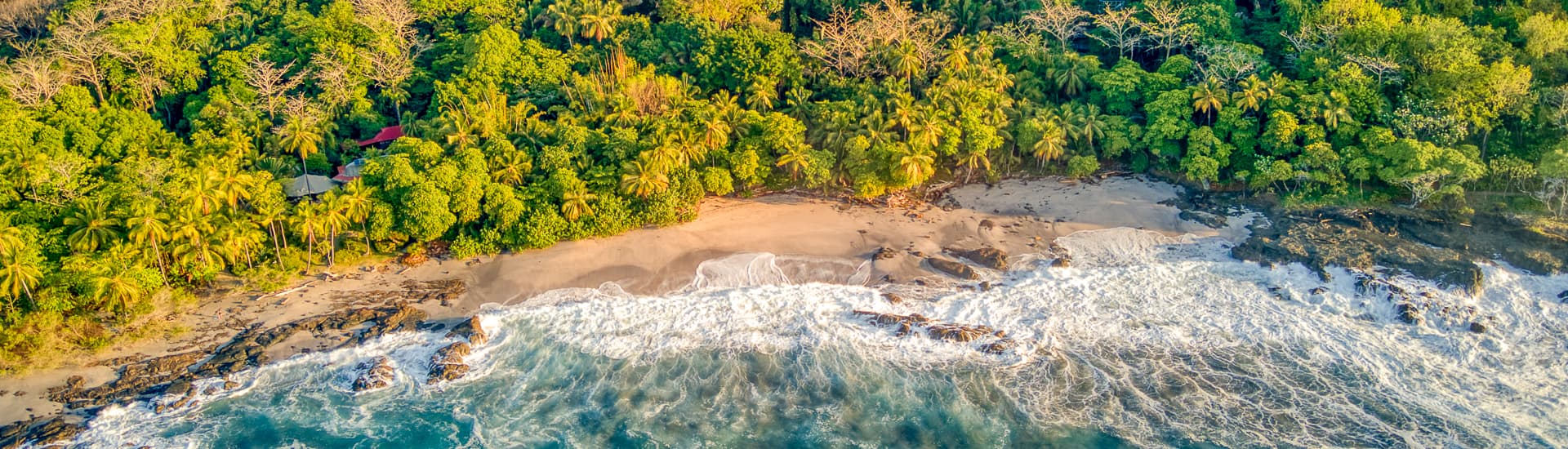 An aerial shot of the ocean, beach and jungle.