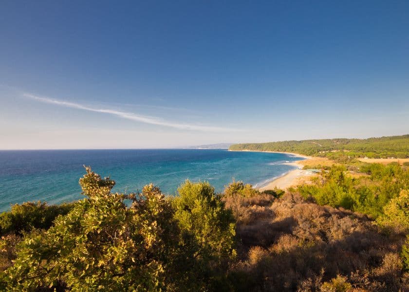 a peaceful view of the ocean sandy beach and green trees under clear blue sky a peaceful view of the ocean sandy beach and green trees under clear blue sky