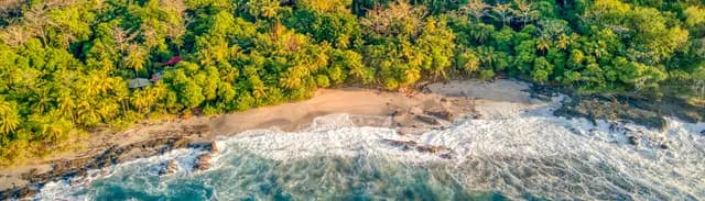 Aerial view of a lush coastline with sandy beach and crashing waves.